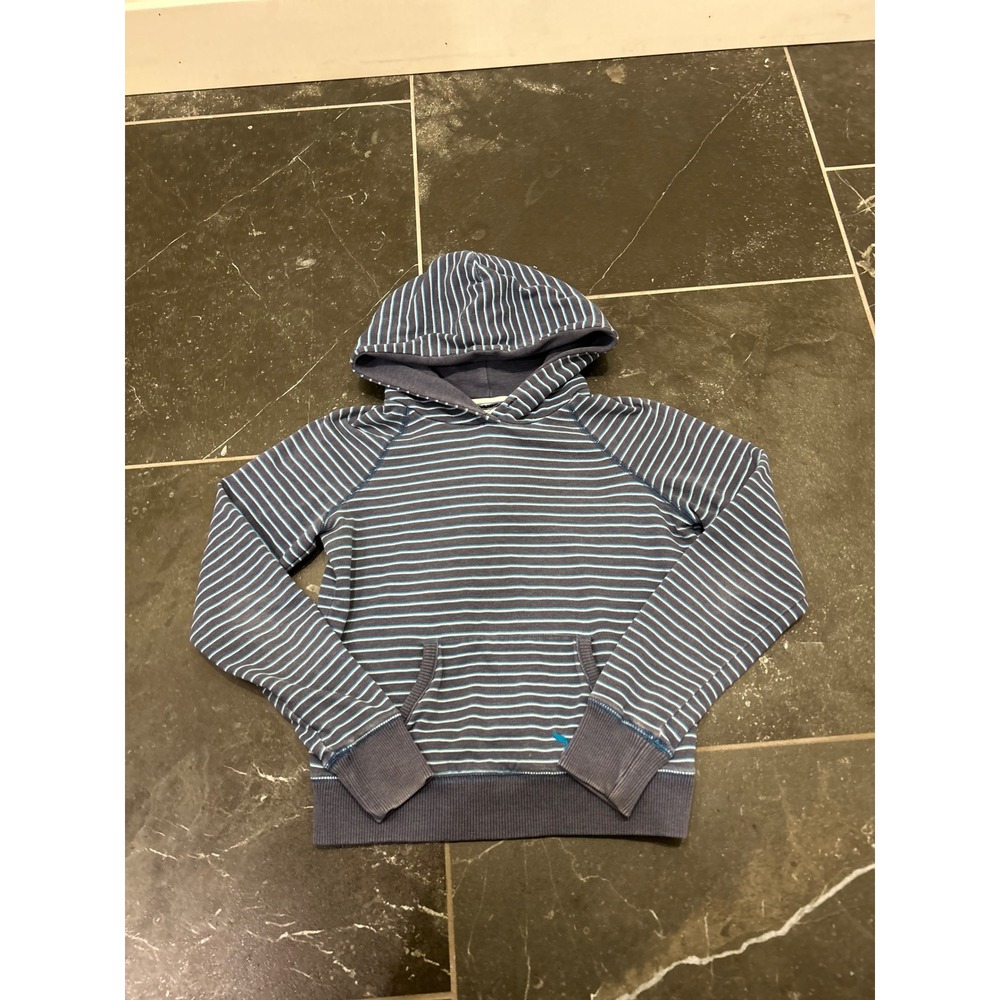 American Eagle Outfitters Blue Striped Pullover Hoodie Womens Medium Raglan